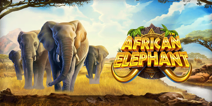 Guide To Effectively Using African Elephant Slot Offers